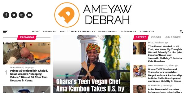 Link Placement On Ameyawdebrah.com