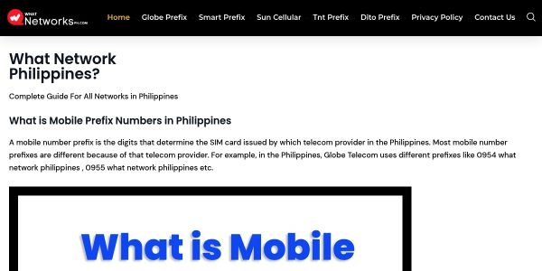 Link Placement On Whatnetworksph.com