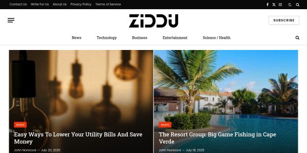 Link Placement On Ziddu.com