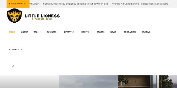 Link Placement On Littlelioness.net