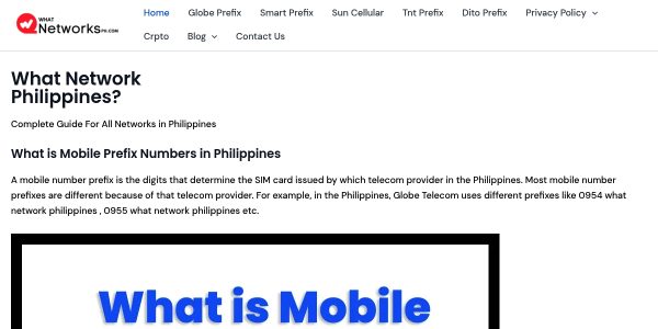 Link Placement On Whatnetworksph.com