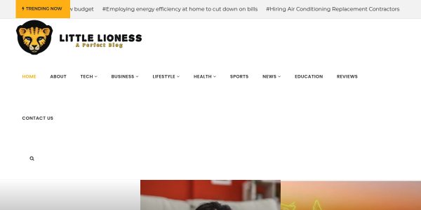 Guest Posting On Littlelioness.net