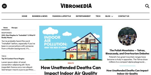 Guest Posting On Vibromedia.com