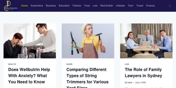 Guest Posting On Dailzcaption.com