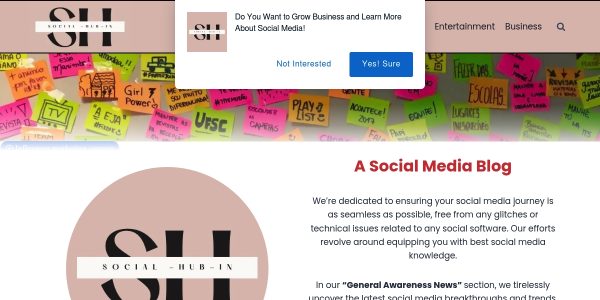 Link Placement On Socialhubin.com