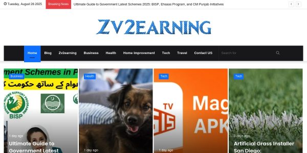 Link Placement On Zv2earning.com