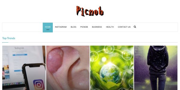 Link Placement On Picnob.co.uk