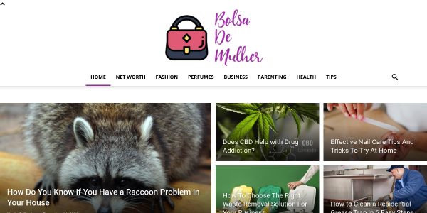 Guest Posting On Bolsadeemulher.com