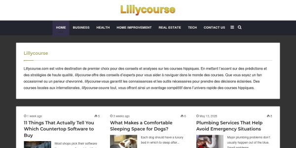Guest Posting On lillycourse.com