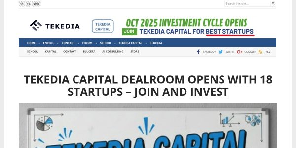 Link Placement On Tekedia.com