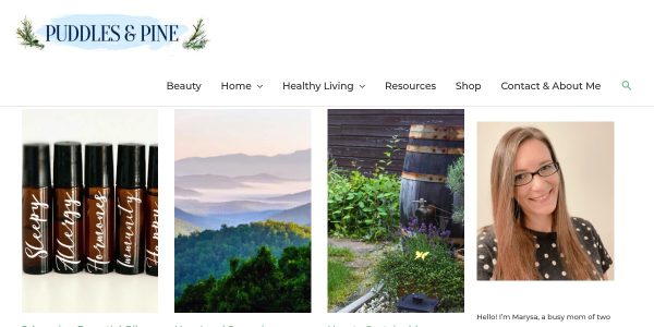 Link Placement On Puddlesandpine.com
