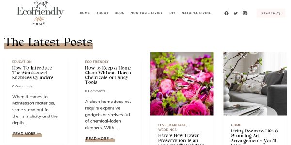 Link Placement On Yourecofriendlyhome.com
