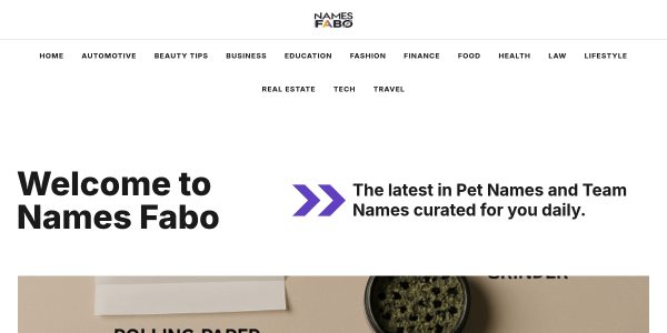 Link Placement On Namesfabo.com