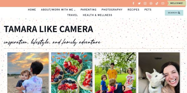 Link Placement On Tamaracamerablog.com