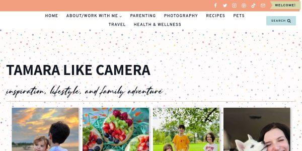Link Placement On Tamaracamerablog.com