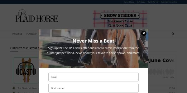 Guest Posting On Theplaidhorse.com