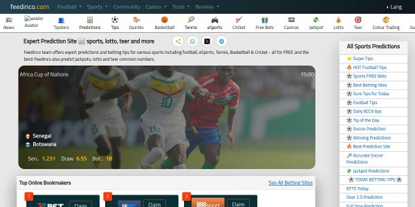 Link Placement On Feedinco.com