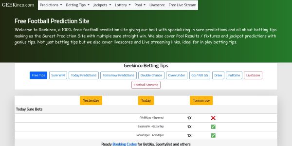 Link Placement On Geekinco.com