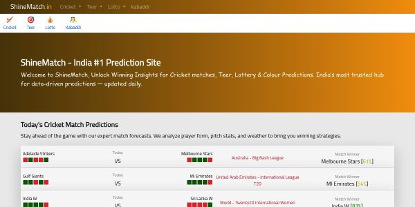 Link Placement On Shinematch.in