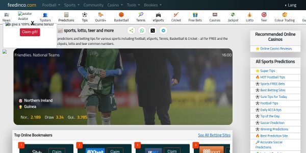 Guest Posting On Feedinco.com