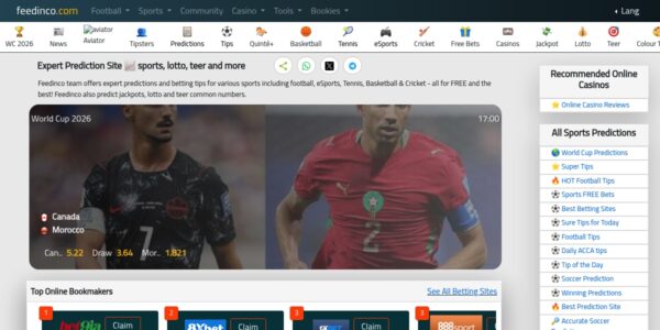 Guest Posting On Feedinco.com