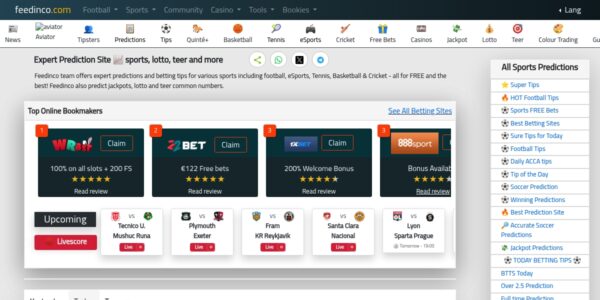 Guest Posting On Feedinco.com