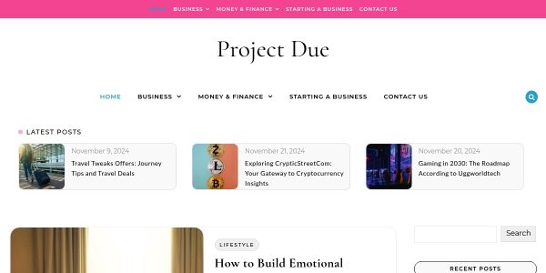 Link Placement On Projectdue.com