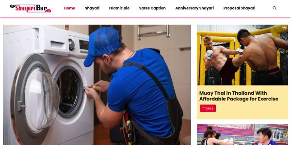 Link Placement On Shayaribar.com