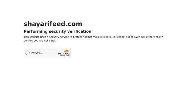 Guest Posting On Shayarifeed.com