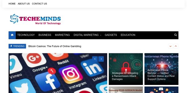 Link Placement On Techeminds.com