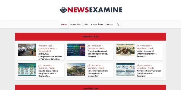 Guest Posting On Newsexamine.com