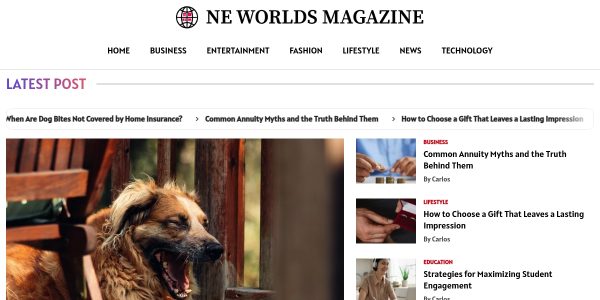 Guest Posting On Neworldsmagazine.com