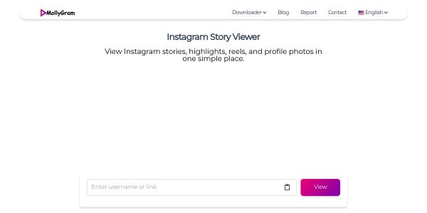 Linkplacement On Mollygram.com