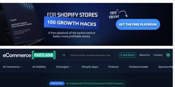 Guest Posting On Ecommercefastlane.com