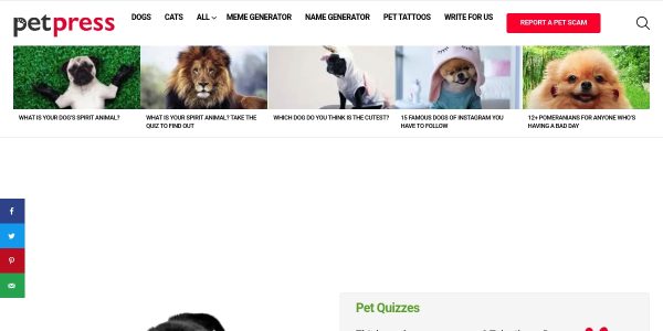 Link placement on Petpress.net