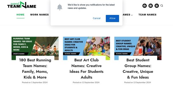 Link placement on Expertteamname.com
