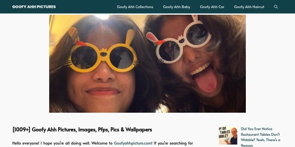 Link placement on Goofyahhpicture.com