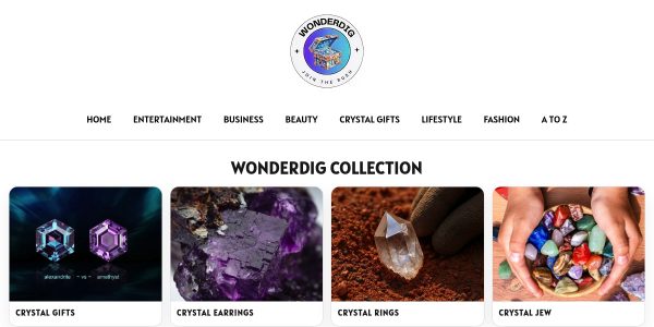 Guest posting on Wonderdig.com